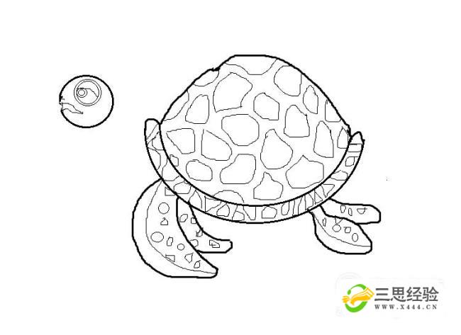 简笔画海龟的画法