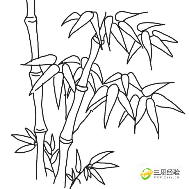 怎样画漂亮竹子优质