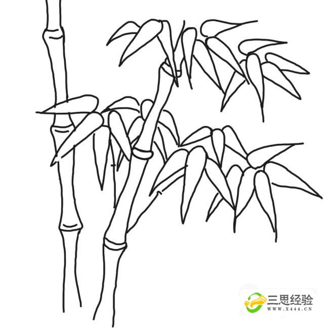 怎样画竹子 一步一步图片