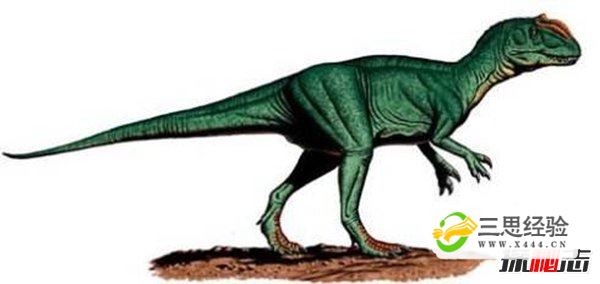 中国最强大的十大食肉恐龙,揭秘中国有哪些食肉恐龙(图7)