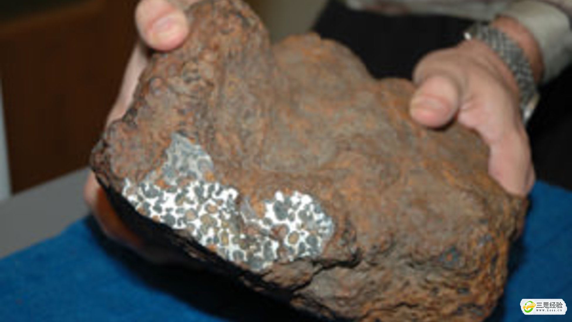 世界上最稀有最昂贵的陨石：阜康陨石比地球更老(被偷买出国)(图7)