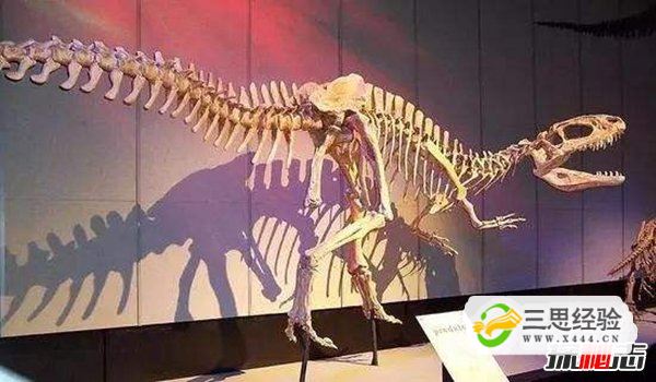 中国最强大的十大食肉恐龙,揭秘中国有哪些食肉恐龙(图10)