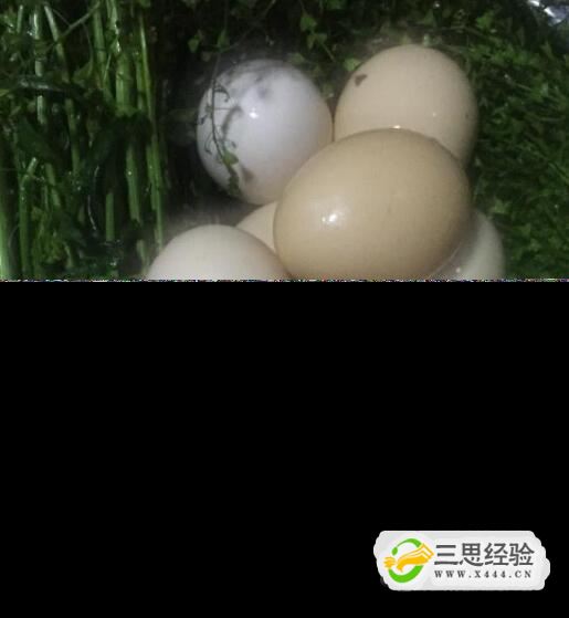 地菜煮鸡蛋的做法(图3)